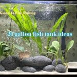 20 gallon fish tank ideas