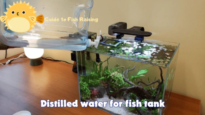 Distilled water for fish tank