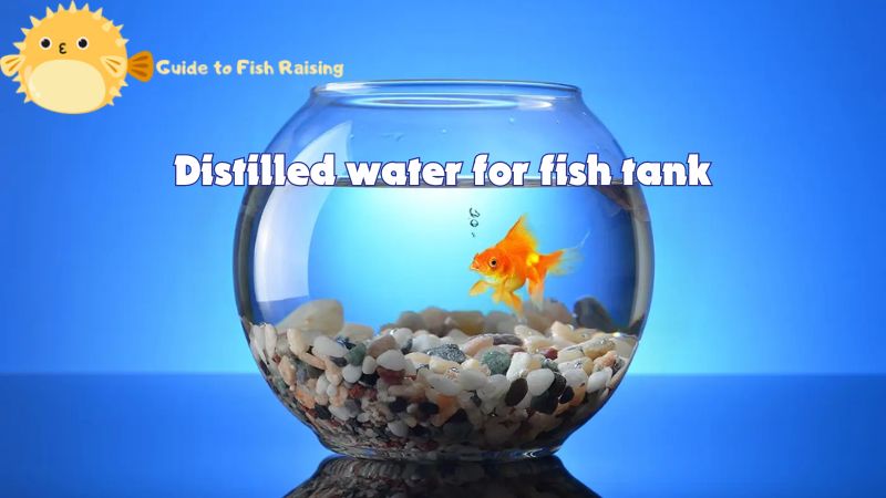 When and how to use distilled water for fish tank?