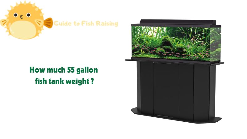 How much 55 gallon fish tank weight ?