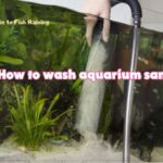 How to wash aquarium sand