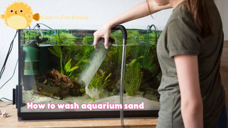 How to wash aquarium sand