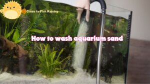 How to wash aquarium sand