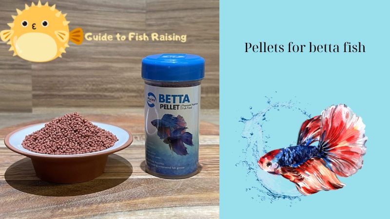 Pellets for betta fish