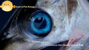 Treatment for cloudy eye in fish