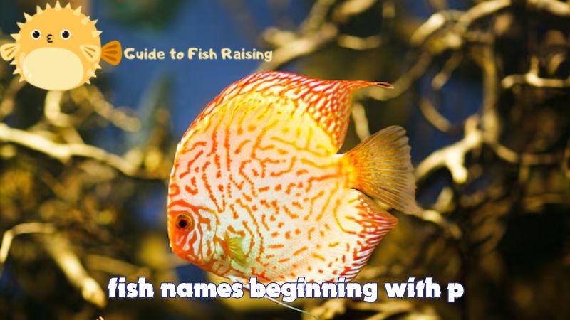 fish names beginning with p