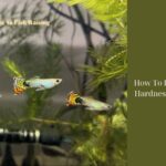 how to lower general hardness in aquarium