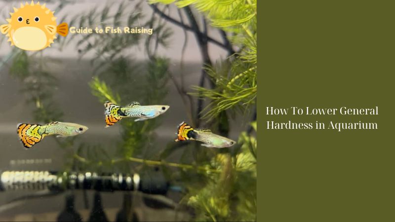 How To Lower General Hardness in Aquarium